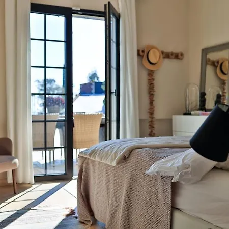 Magnifique De Luxe Avec Piscine - Cactus